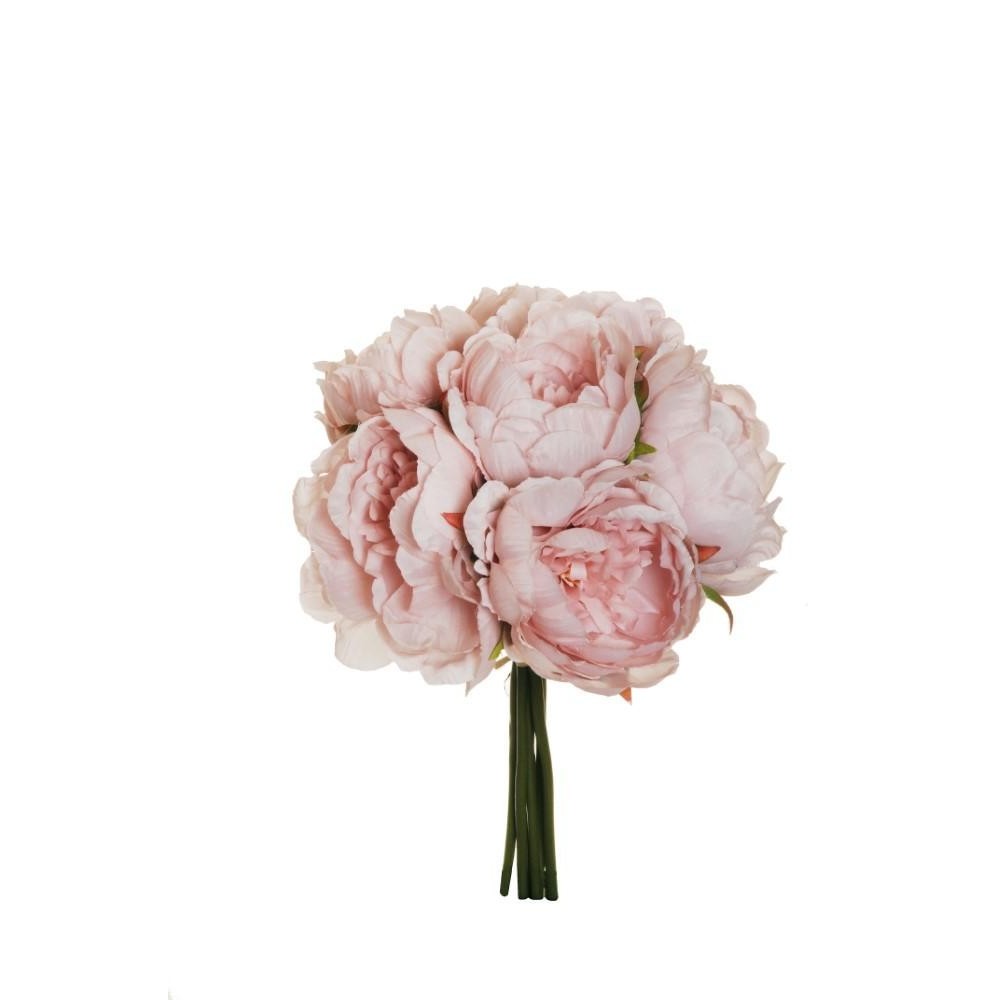 BUSH PEONY X6 OLD PINK 29CM